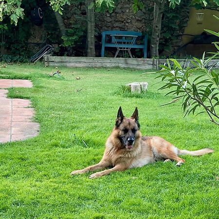 Santa Caterina - Dog Friendly With Garden Villa Sobrestany Buitenkant foto
