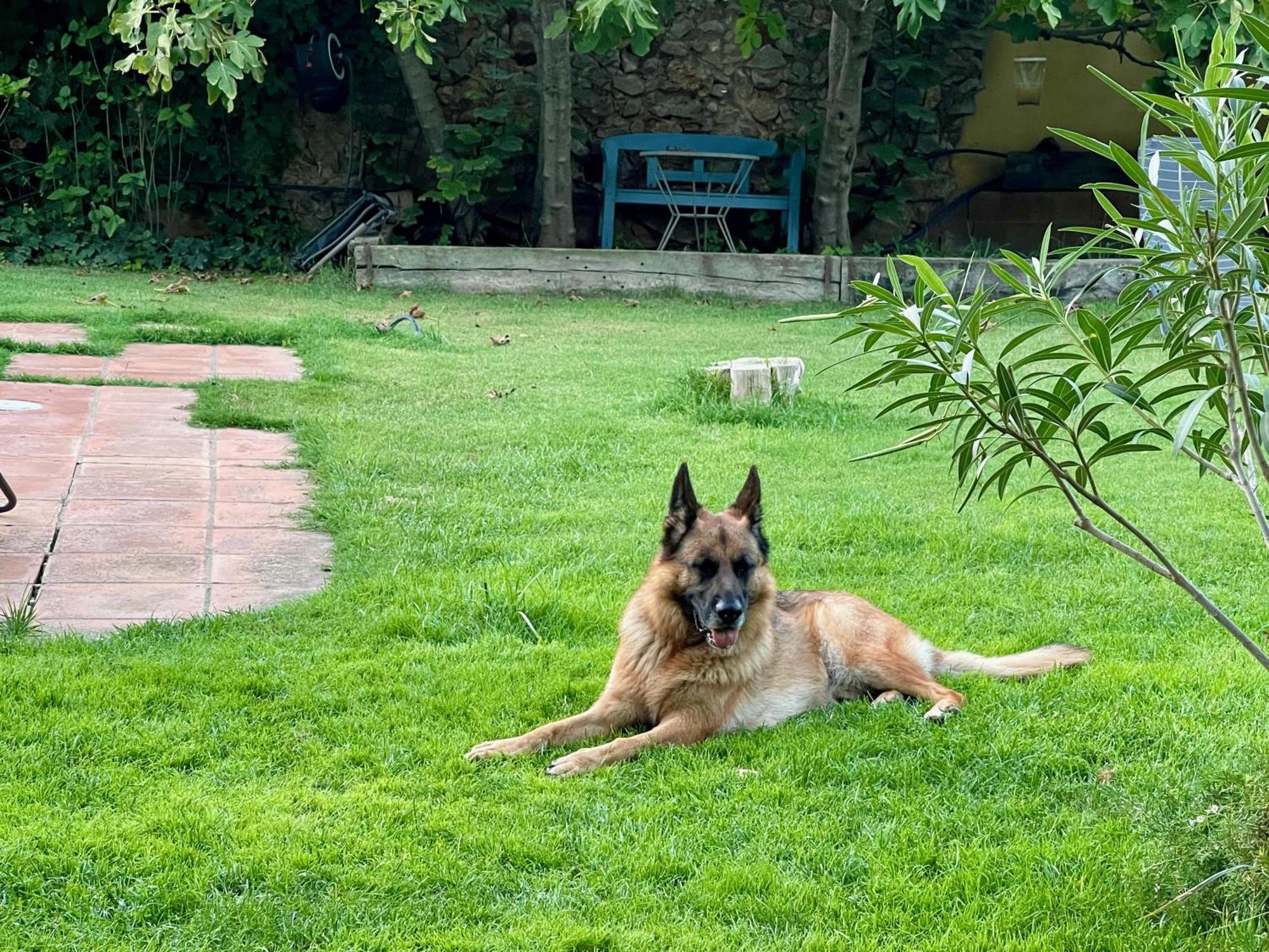 Santa Caterina - Dog Friendly With Garden Villa Sobrestany Buitenkant foto
